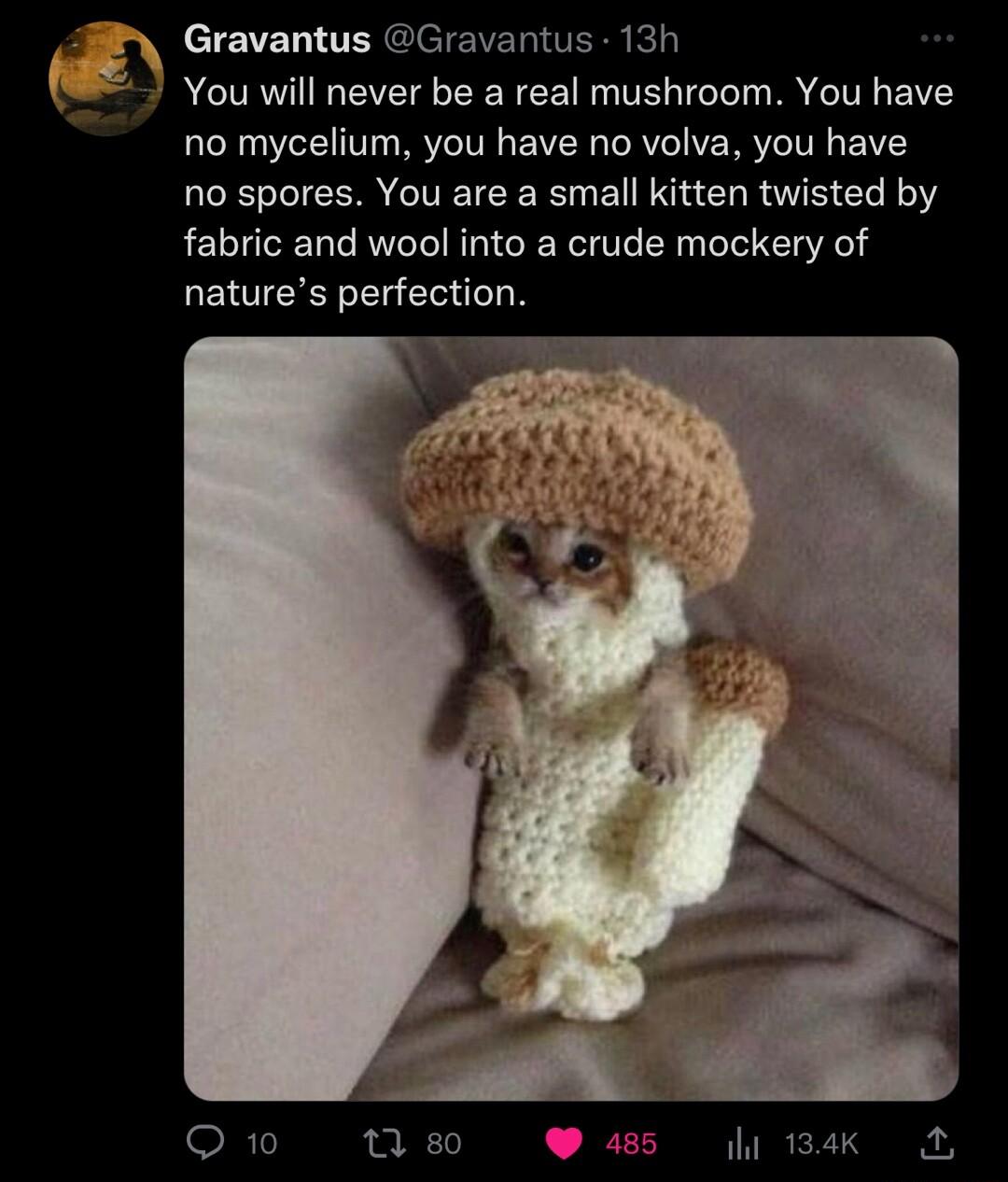 Gravantus Gravantus 13h AL EVE O EERCE T I I B T BV no mycelium you have no volva you have no spores You are a small kitten twisted by fabric and wool into a crude mockery of natures perfection