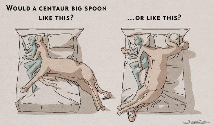 WOULD A CENTAUR BIG SPOON LIKE THIS OR LIKE THIS
