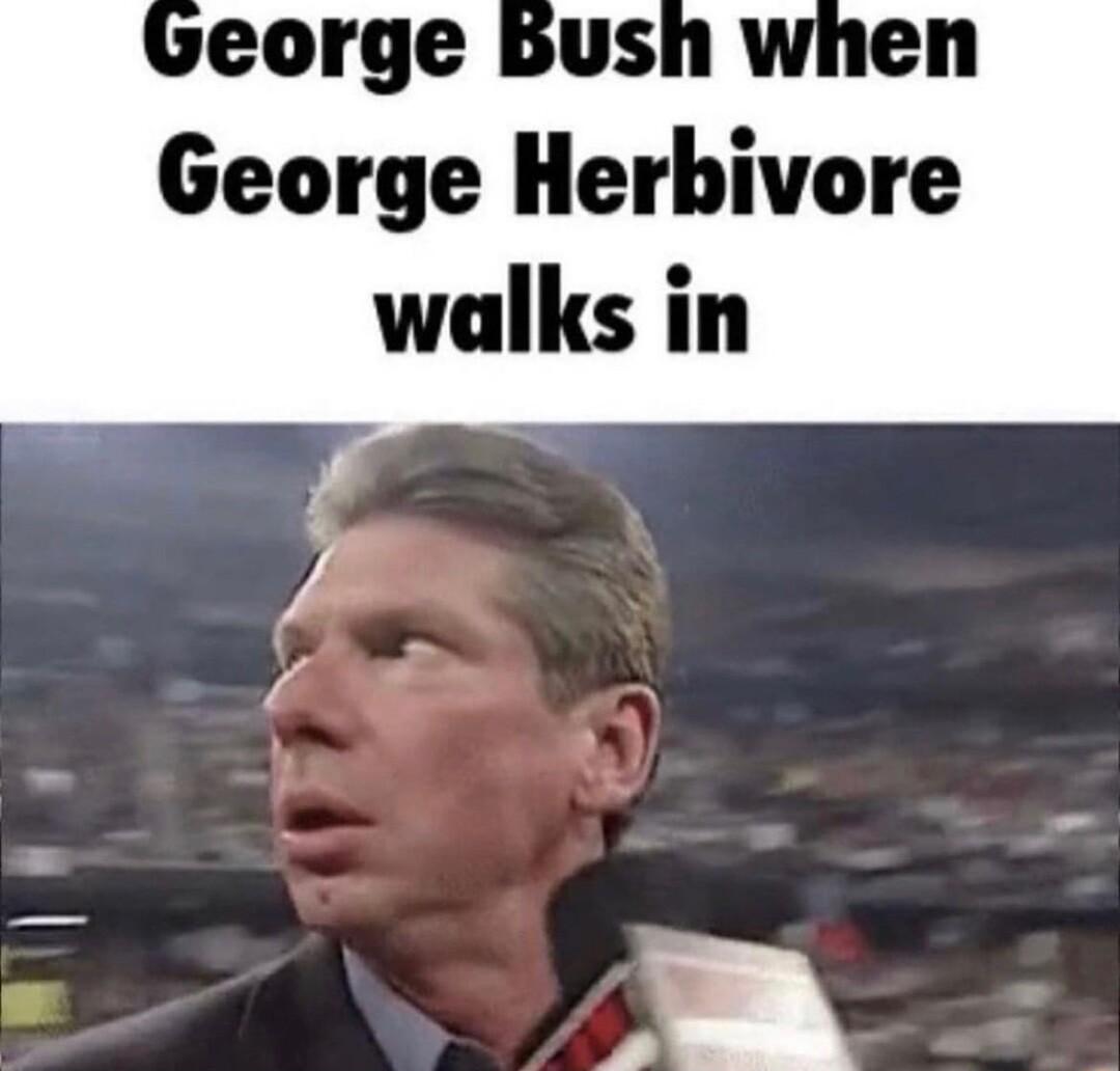 eorge bus George Herbivore walks in
