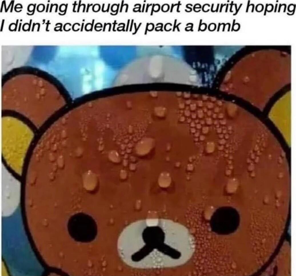 Me going through airport security hoping didnt accidentally pack a bomb
