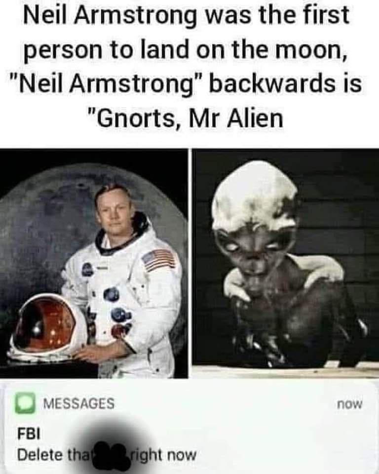 Neil Armstrong was the first person to land on the moon Neil Armstrong backwards is Gnorts Mr Alien