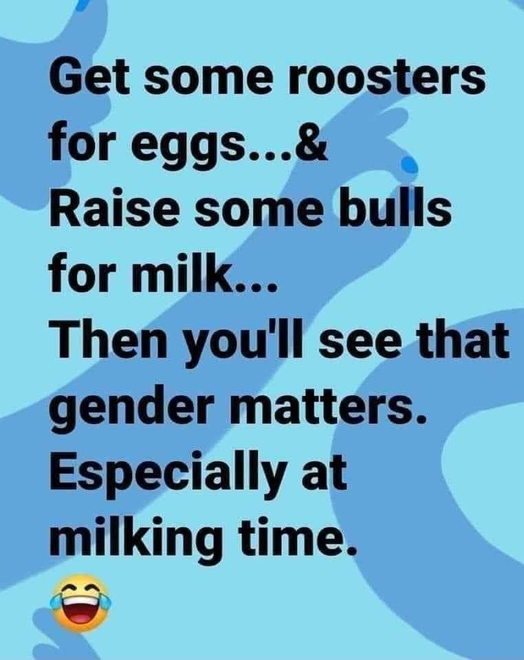 v Get some roosters for eggs Raise some bulls for milk Then youll see that gender matters Especially at milking time _