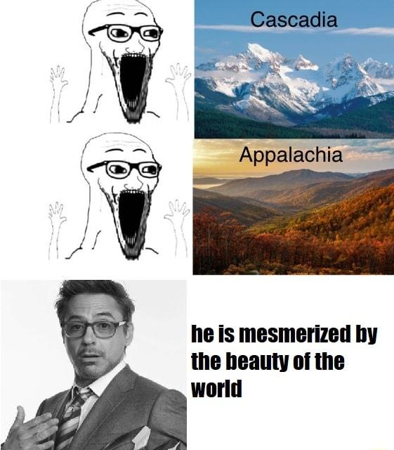 he is mesmerized by the beauty of the world