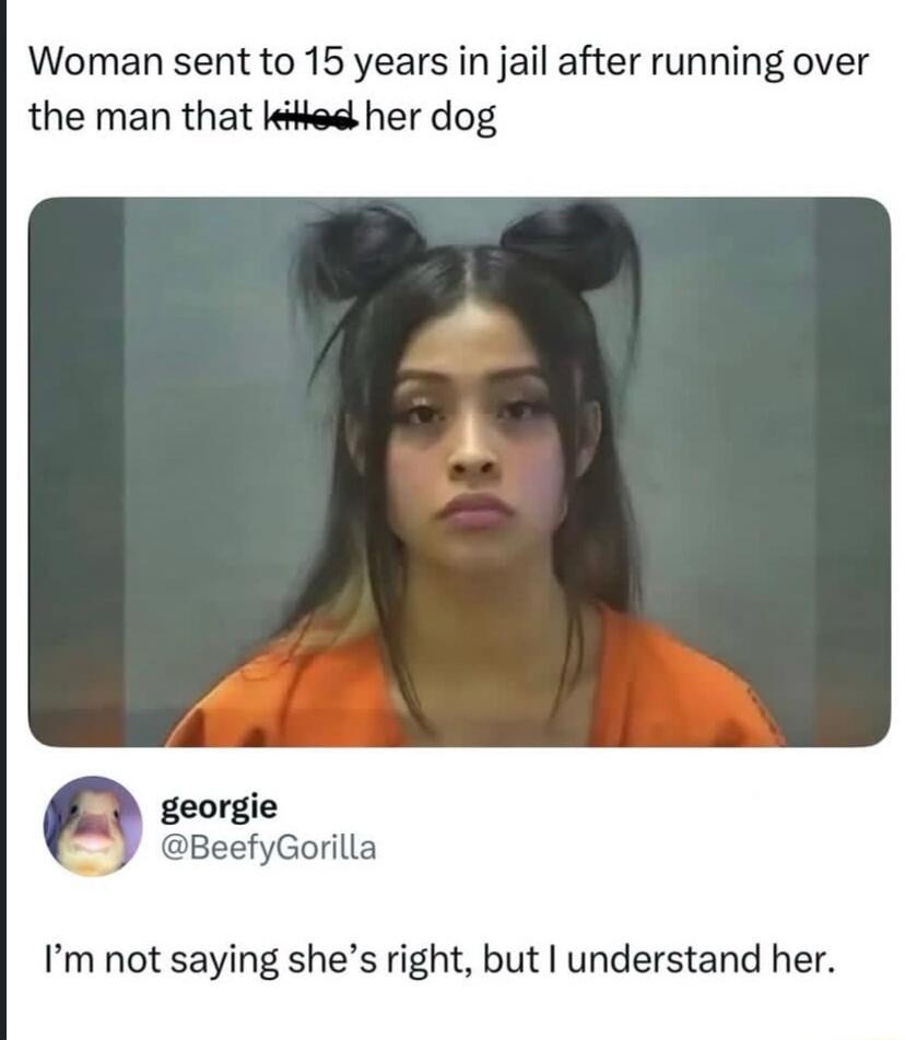 Woman sent to 15 years in jail after running over the man that killed her dog

georgie @BeefyGorilla: I’m not saying she’s right, but I understand her.