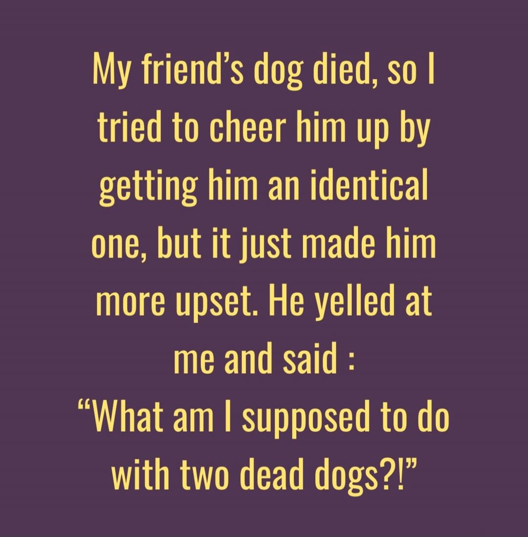 My friend's dog died, so I tried to cheer him up by getting him an identical one, but it just made him more upset. He yelled at me and said: “What am I supposed to do with two dead dogs?!”