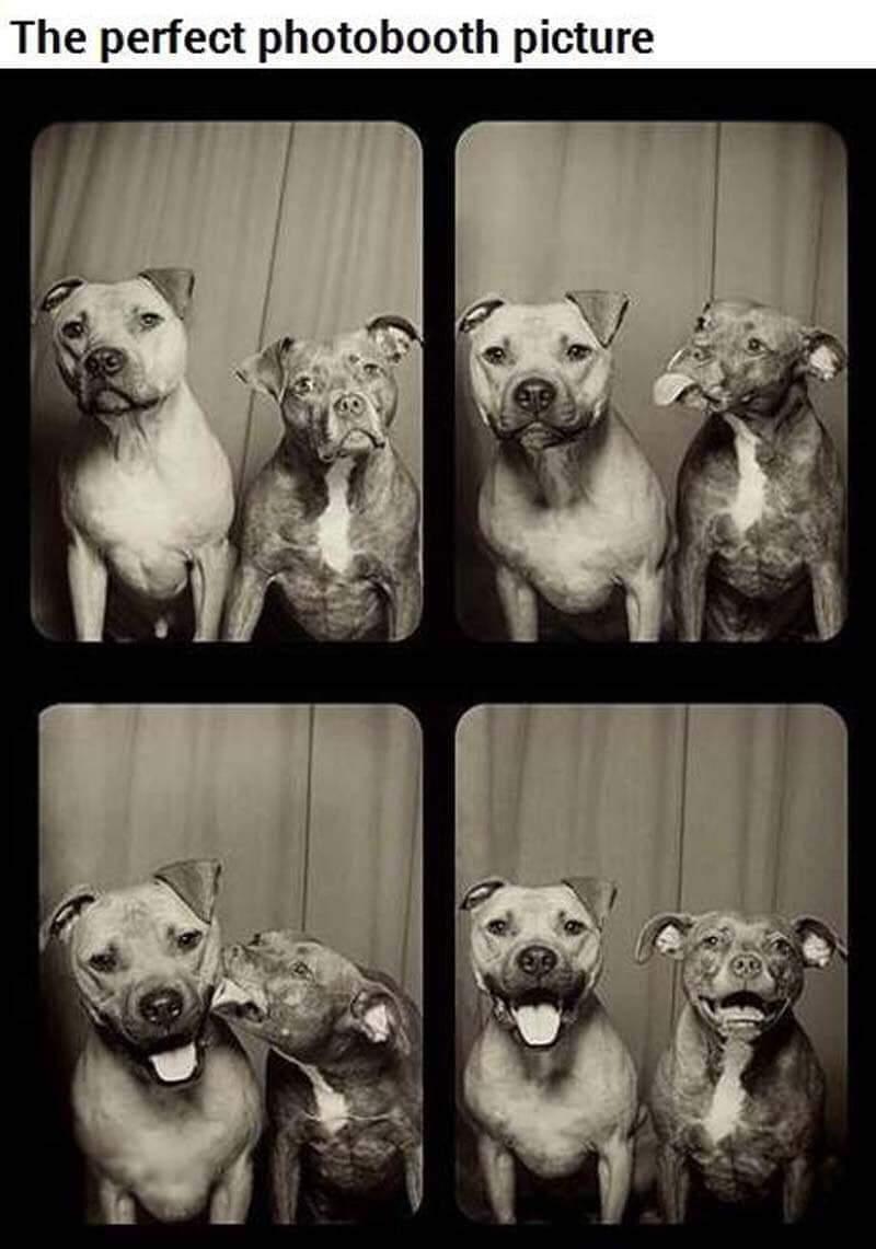 The perfect photobooth picture