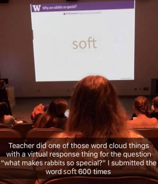 LN Teacher did one of those word cloud things WGGIER A UE RS EER G e R TR IR VES l what makes rabbits so special submitted the word soft 600 times