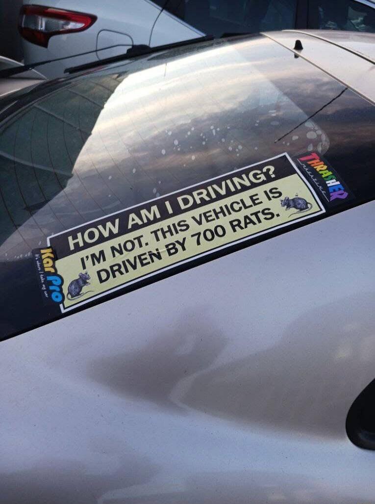 HOW AM I DRIVING? I'M NOT. THIS VEHICLE IS DRIVEN BY 700 RATS.