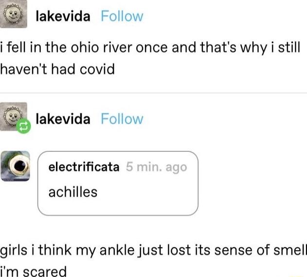 lakevida Follow i fell in the ohio river once and thats why i still havent had covid E lakevida Follow electrificata achilles girls i think my ankle just lost its sense of smell im scared
