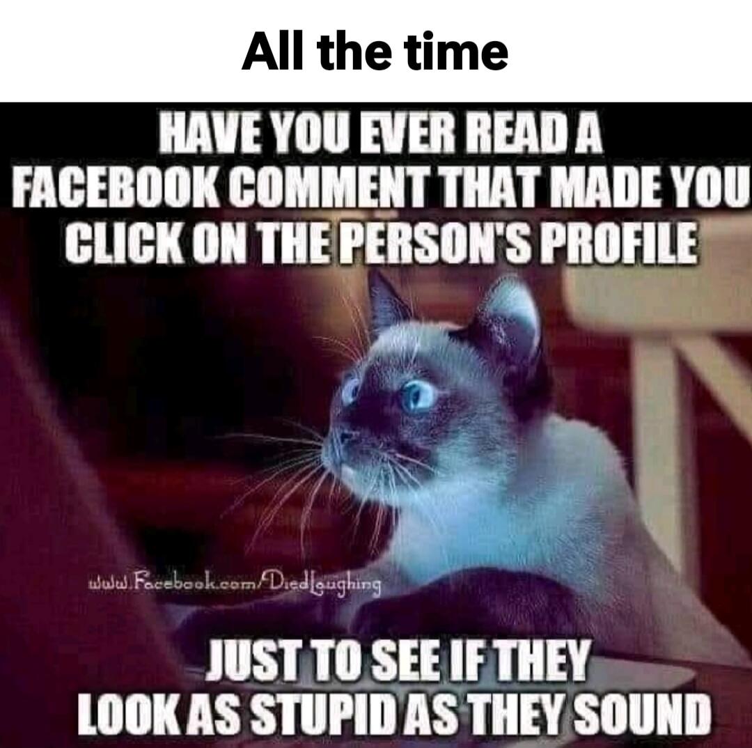 All the time. Have you ever read a Facebook comment that made you click on the person's profile just to see if they look as stupid as they sound.