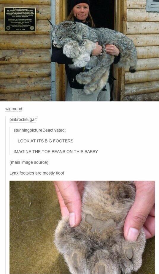 wigmund pinkrocksugar stunningpictureDeac THIS BABBY