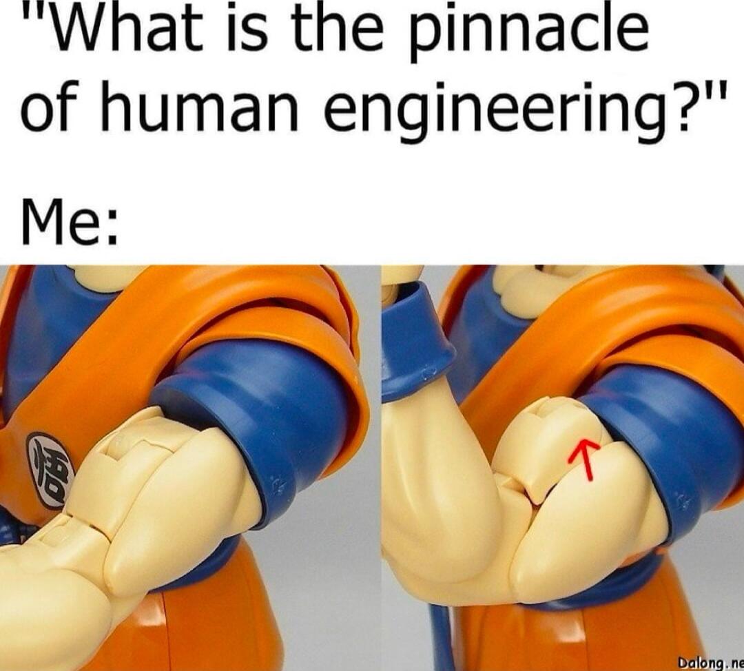 What is the pinnacle of human engineering