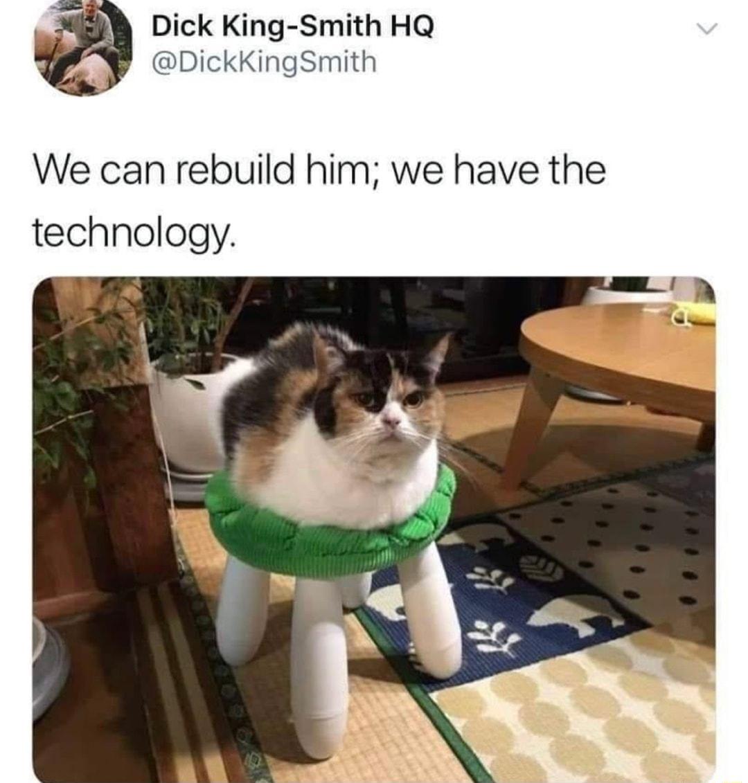 Dick King Smith HQ DickKingSmith We can rebuild him we have the technology