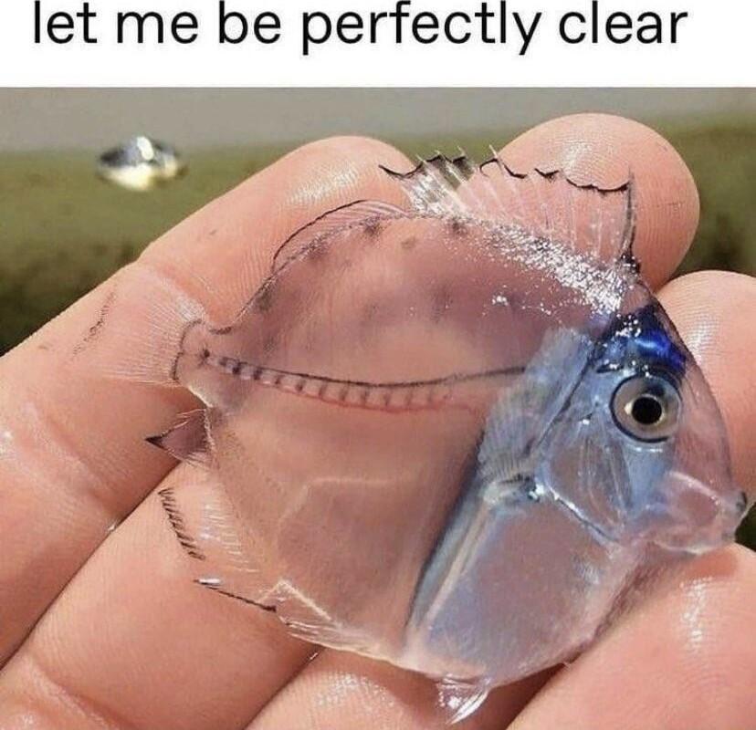 et me be pertectly clear A Ed