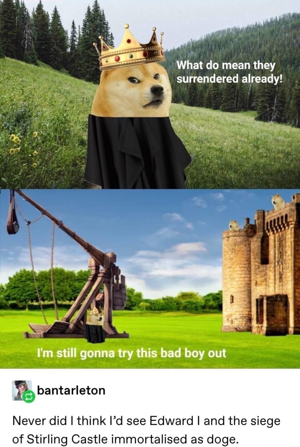 What do mean they surrendered already Im still gonna try this bad boy out Ibbantarletan Never did think Id see Edward and the siege of Stirling Castle immortalised as doge