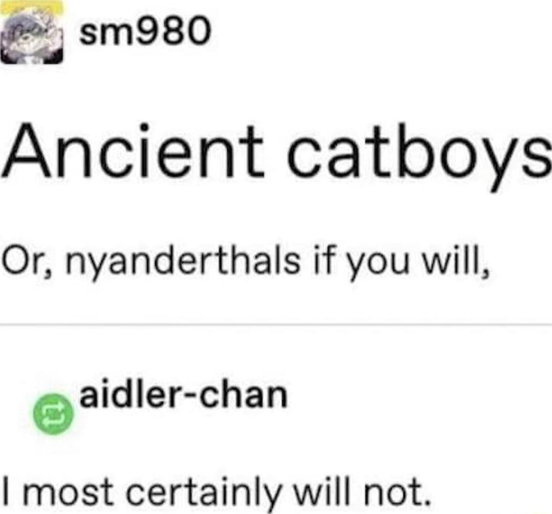 g sm980 Ancient catboys Or nyanderthals if you will eaidler chan most certainly will not