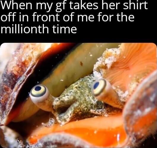 When my gf takes her shirt off in front of me for the millionth time