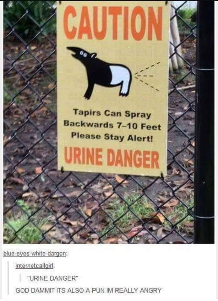 intematealigin URINE DANGER GOD DAMMIT TS AL