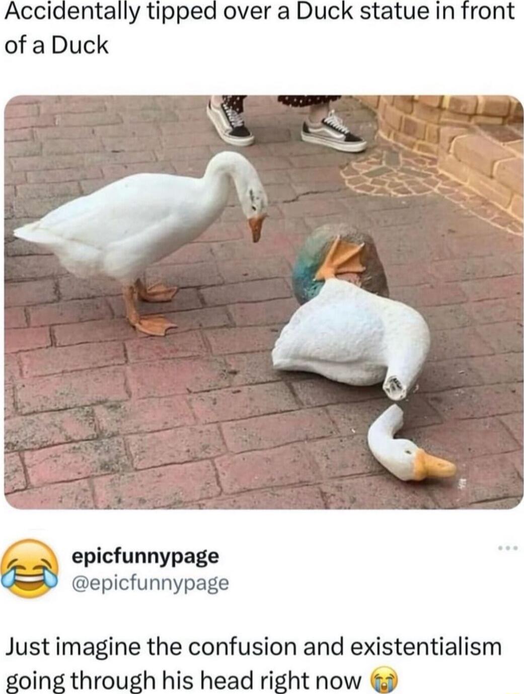 Accidentally tipped over a Duck statue in front of a Duck epicfunnypage epicfunnypage