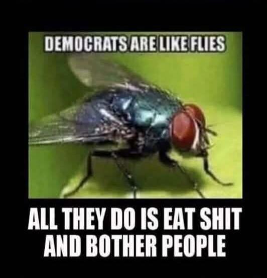 DEMOCRATS ARE LIKE FLIES ALL THEY DO IS EAT SHIT AND BOTHER PEOPLE