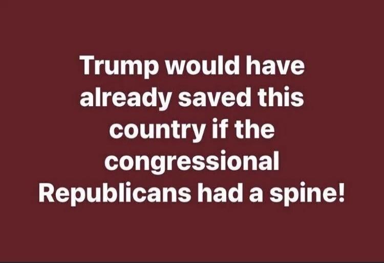 Trump would have already saved this country if the congressional Republicans had a spine!