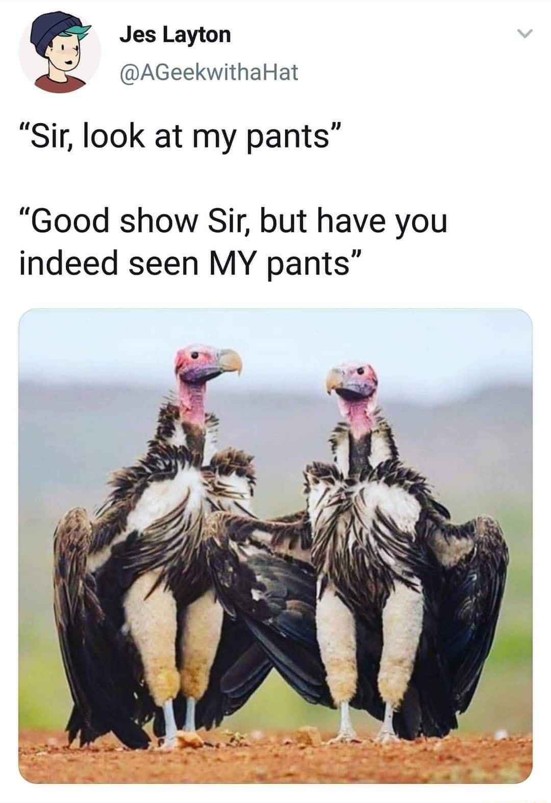 Jes Layton 6 AGeekwithaHat Sir look at my pants Good show Sir but have you indeed seen MY pants