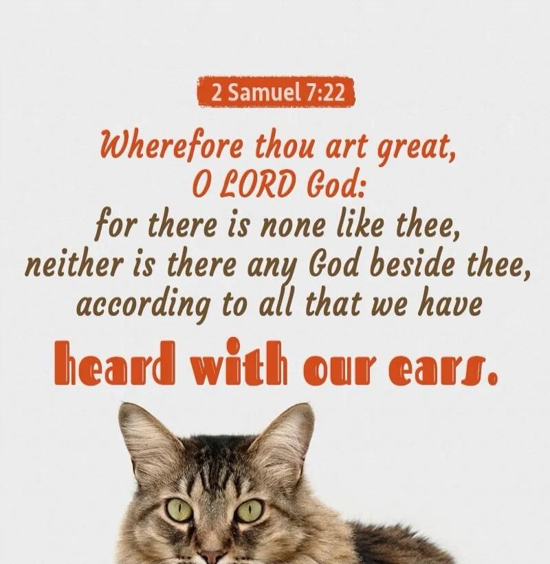 2 Samuel 7:22 Wherefore thou art great, O LORD God: for there is none like thee, neither is there any God beside thee, according to all that we have heard with our ears.