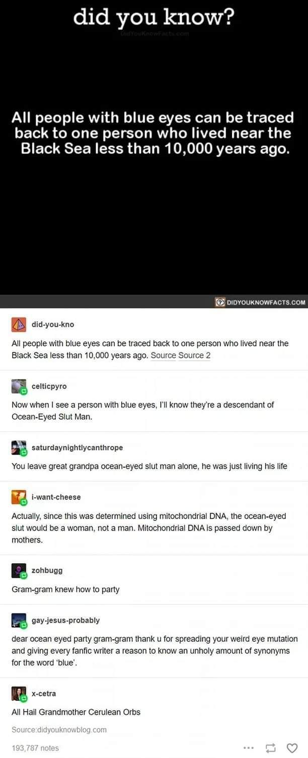 did you know W TXeT o ERVVI W o VRIS T o TSR A To T back to one person who lived near the Black Sea less than 10000 years ago pioYoukNowFACTSCOM did you kno All people with blue eyes can be traced back to one person who lived near the Black Sea less than 10000 years ago Source Source 2 celticpyro b Now when see a person with blue eyes Il know theyre a descendant of Ocean Eyed Slut Man 5 saturdayni