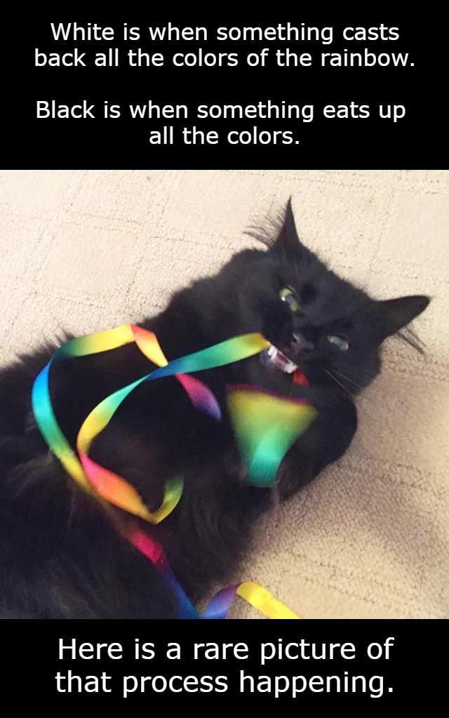 White is when something casts back all the colors of the rainbow Black is when something eats up R RN Here is a rare picture of that process happening