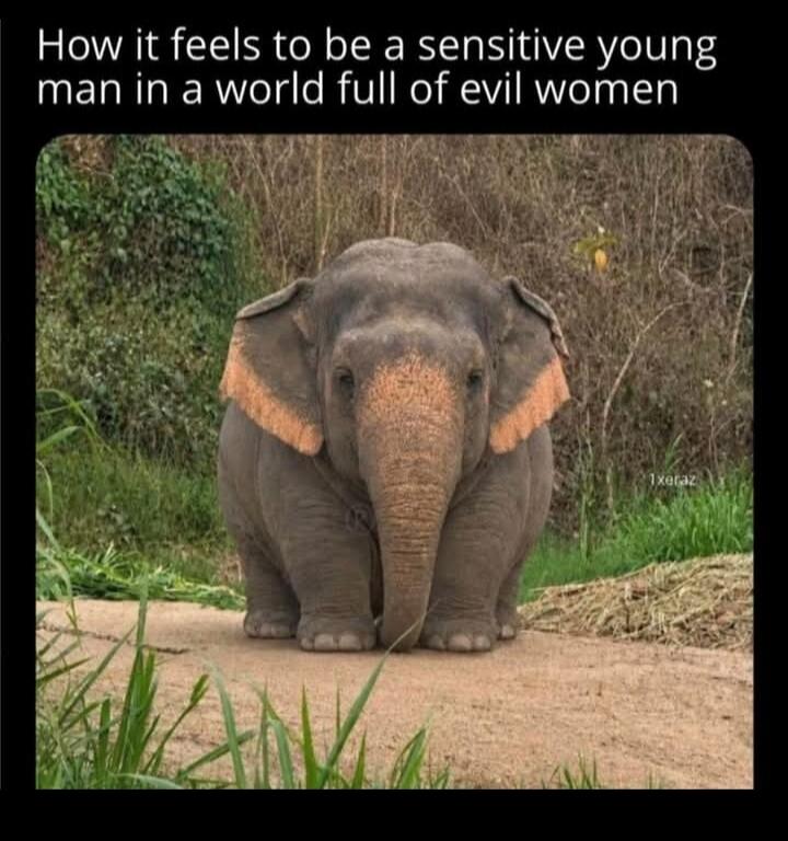 How it feels to be a sensitive young man in a world full of evil women