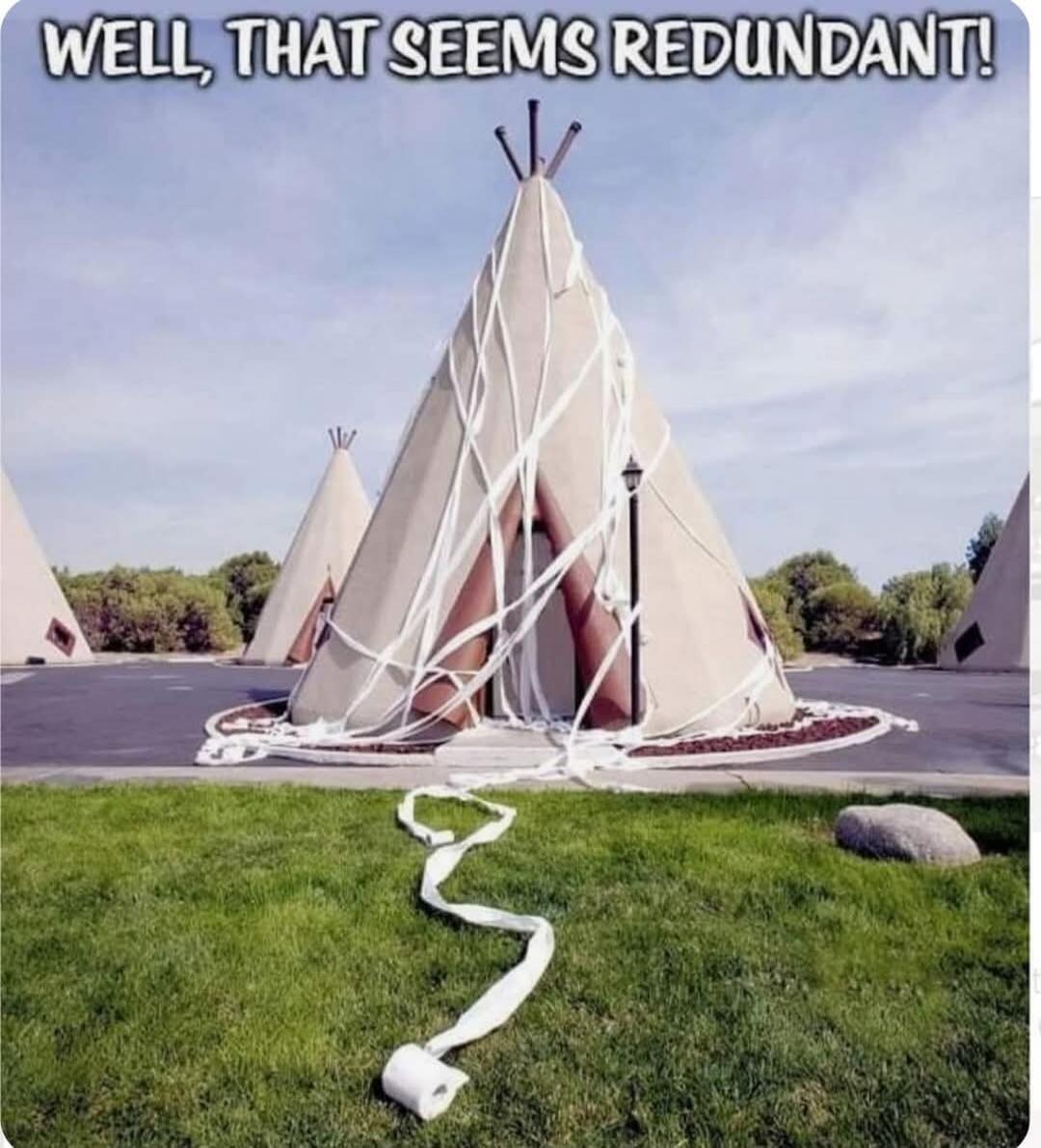 WELL, THAT SEEMS REDUNDANT!