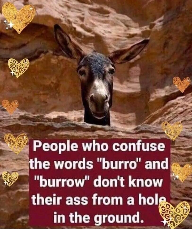 People who confuse the words 