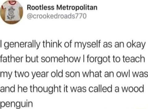 Rootless Metropolitan crookedroads770 generally think of myself as an okay father but somehow forgot to teach my two year old son what an owl was and he thought it was called a wood penguin