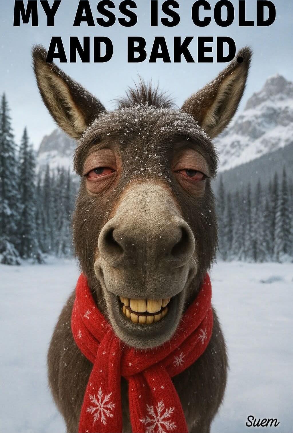 MY ASS IS COLD AND BAKED