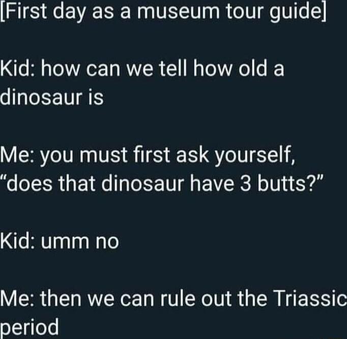 First day as a museum tour guide s B o Ta RIZR 1 M To 1o s Y SEETIA Me you must first ask yourself does that dinosaur have 3 butts Kid umm no Me then we can rule out the Triassic period