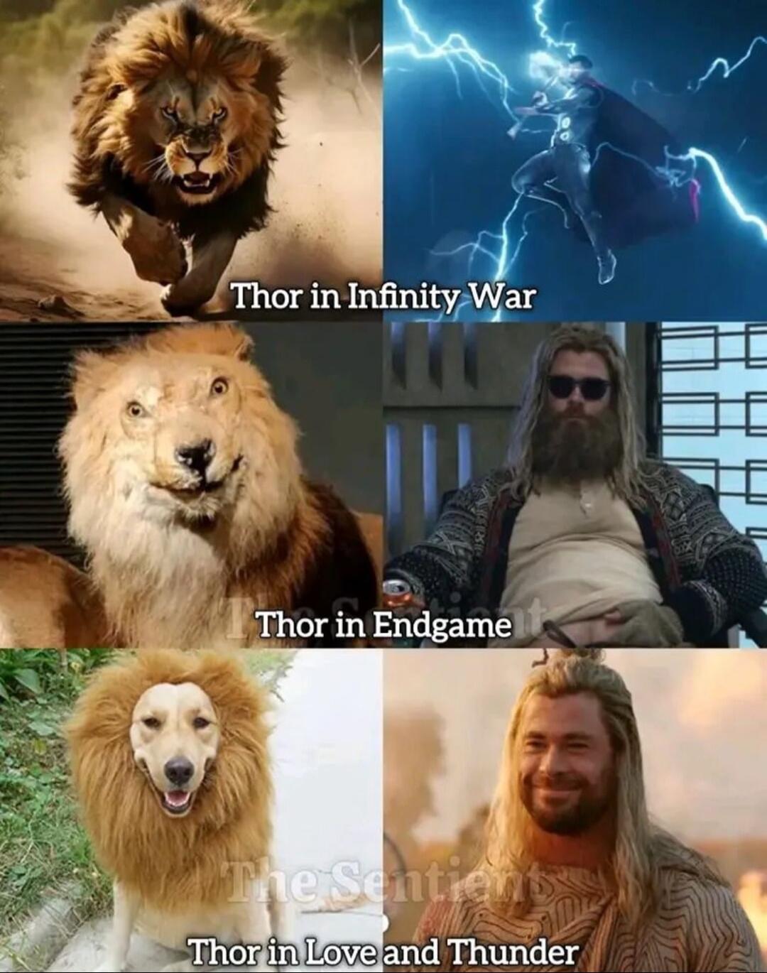 S Thor in Endgame