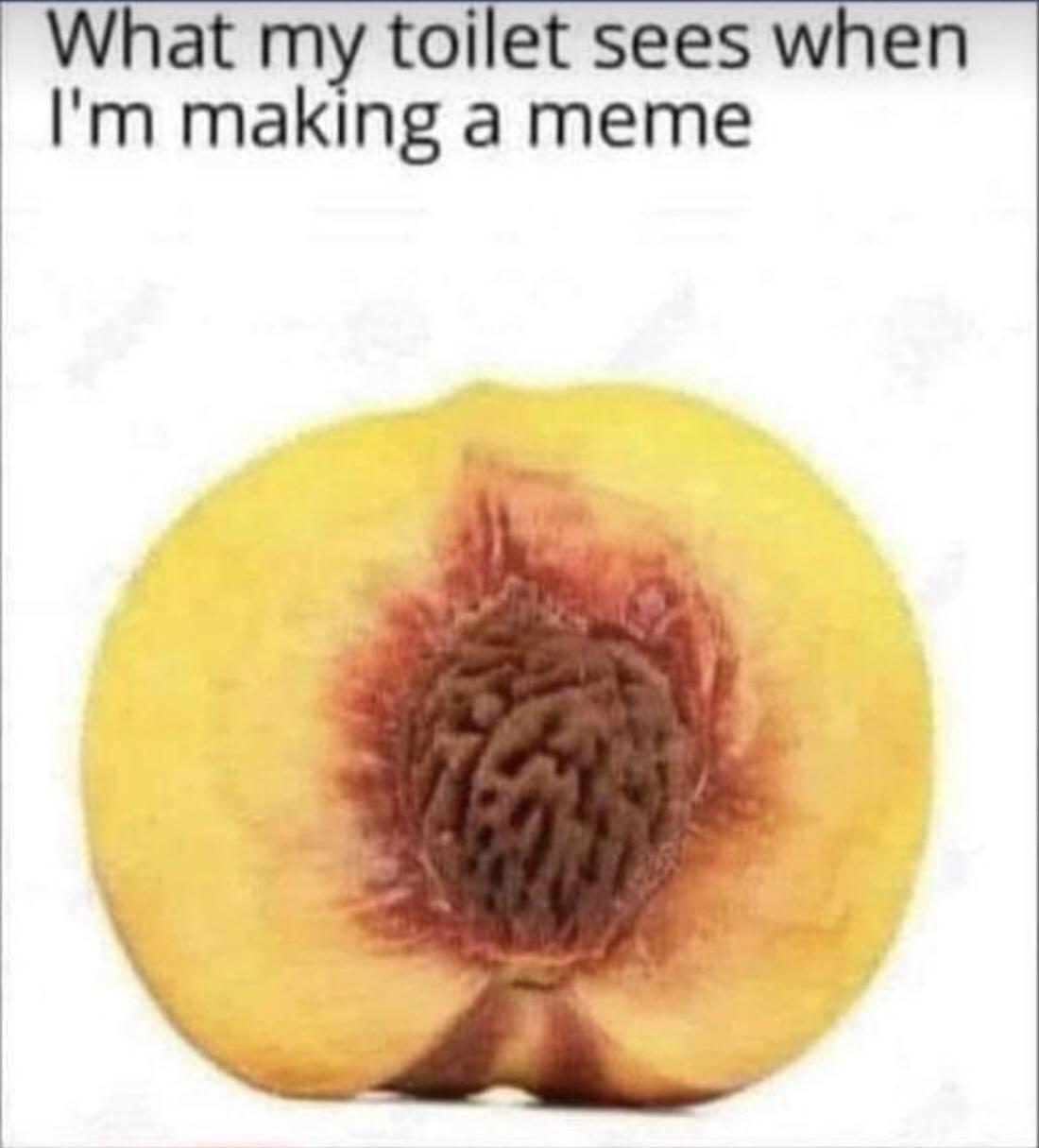 What my toilet sees when Im making a meme