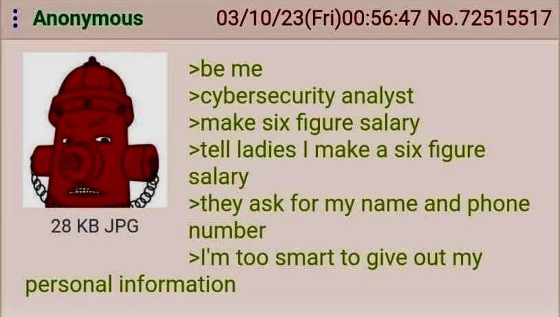i Anonymous 031023Fri005647 No72515517 be me cybersecurity analyst make six figure salary tell ladies make a six figure salary they ask for my name and phone 28 KB JPG number Im too smart to give out my personal information