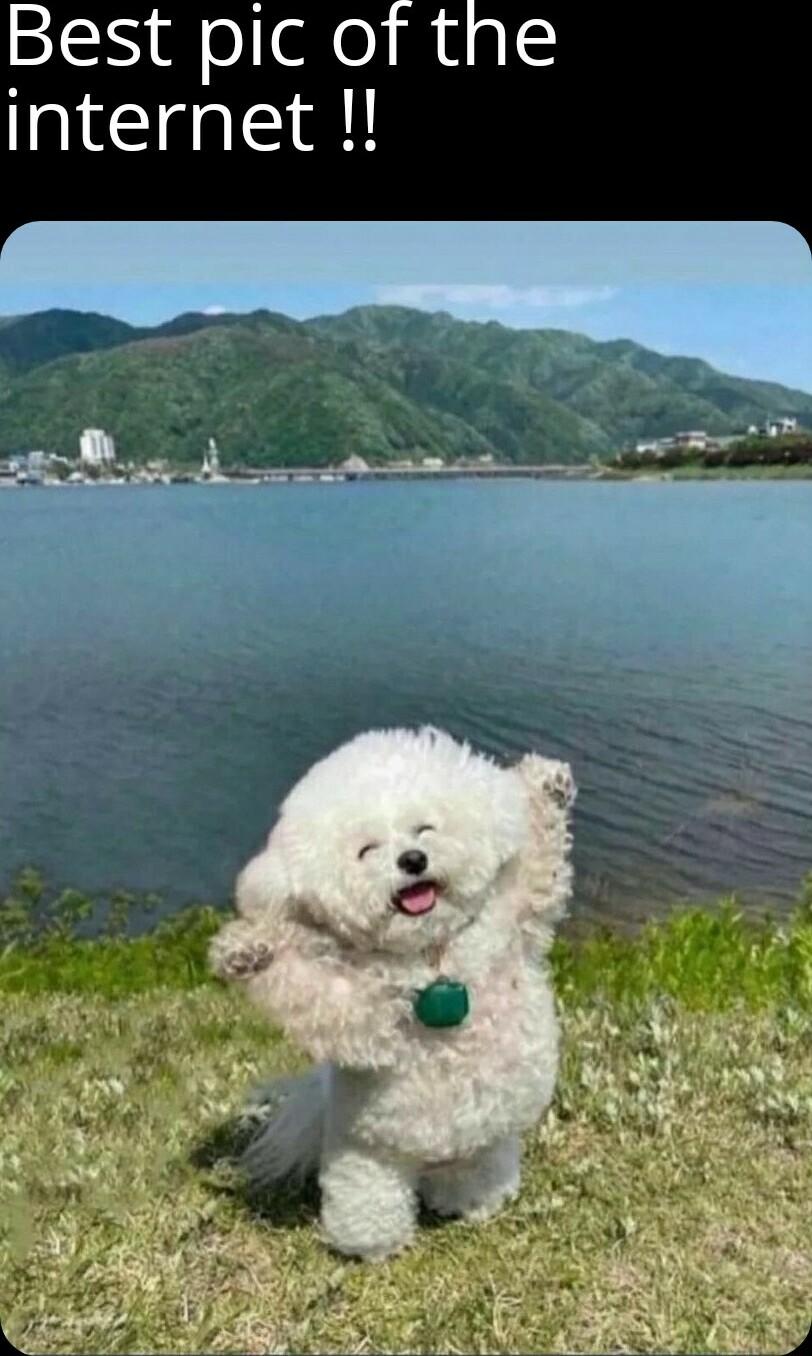 Best pic of the internet l B e RO s b B e