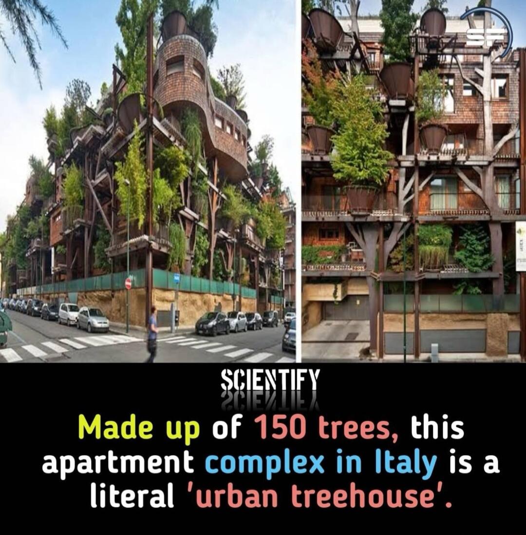 Made up of 150 trees this EVEL L LT PR R L EUR Y literal urban treehouse