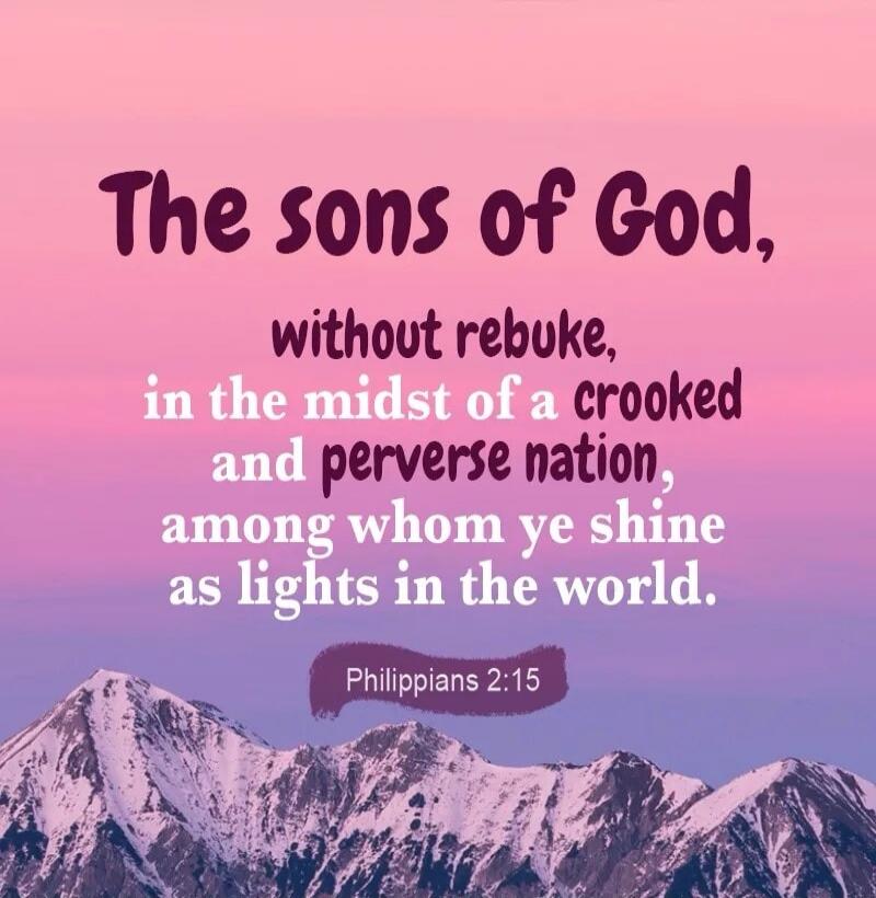 The sons of God, without rebuke, in the midst of a crooked and perverse nation, among whom ye shine as lights in the world. Philippians 2:15
