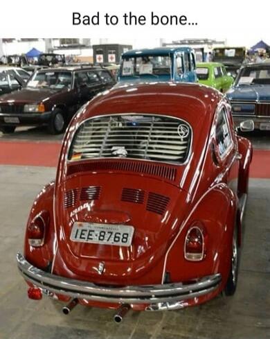 Bad to the bone...
IEE-8768