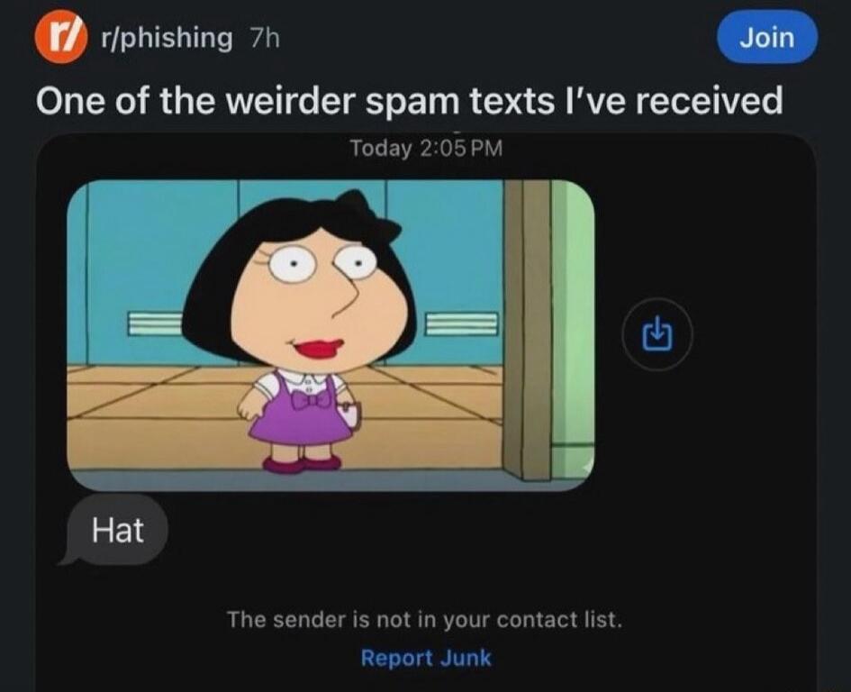 One of the weirdER spam texts I’ve received
Hat
The sender is not in your contact list.
Report Junk