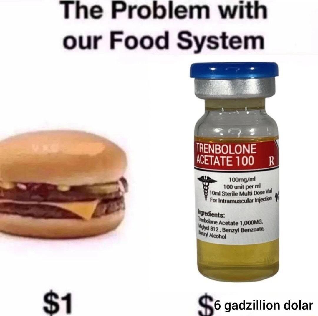 The Problem with our Food System 1 6 gadzillion dolar