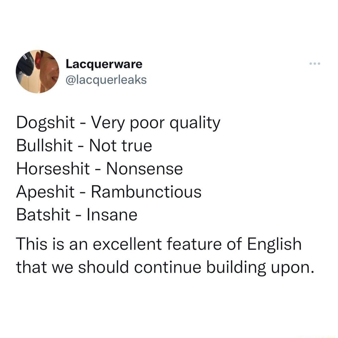 Lacquerware lacquerleaks Dogshit Very poor quality Bullshit Not true Horseshit Nonsense Apeshit Rambunctious Batshit Insane This is an excellent feature of English that we should continue building upon