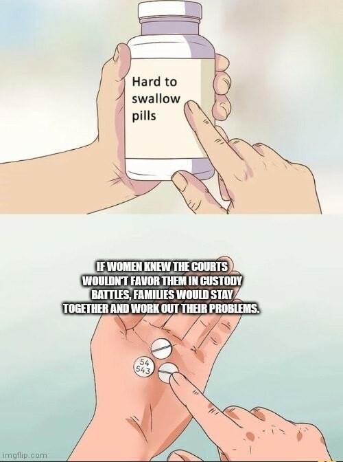 imgflipcam GUIECETEED WOULDNT FAVOR THEM IN CUSTODY