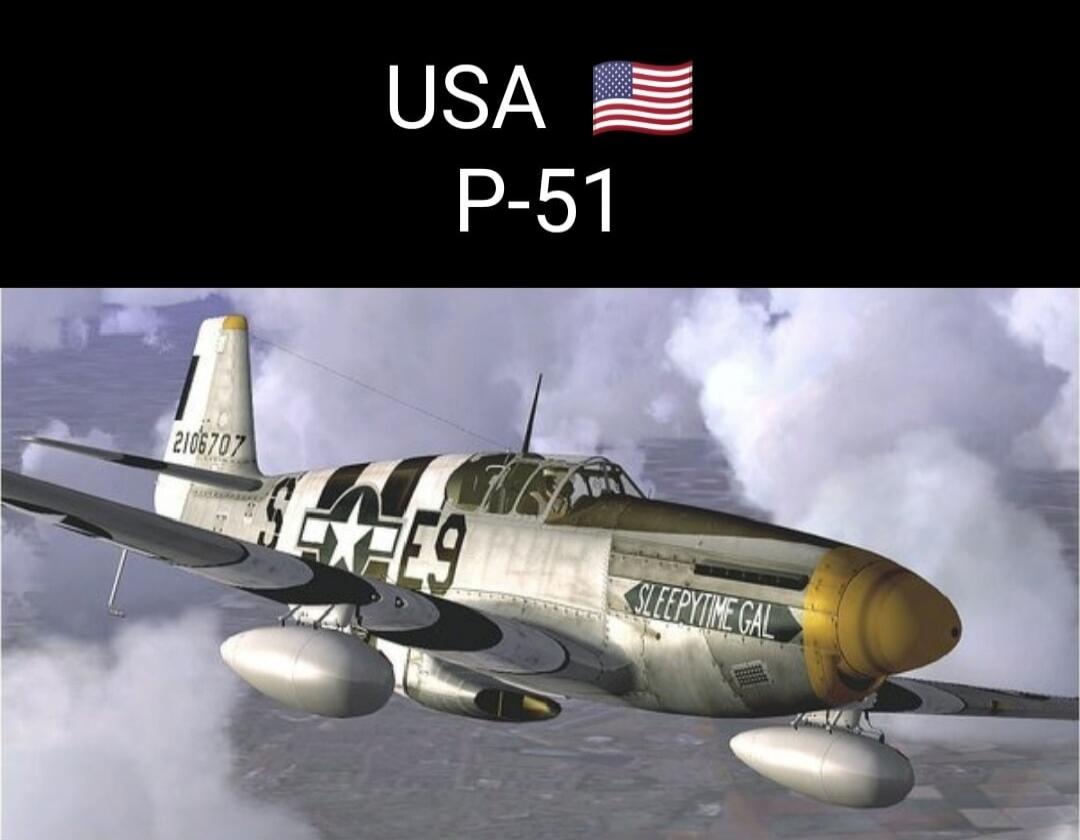 USA P-51 SLEEPYTIME GAL 2106707 S E9