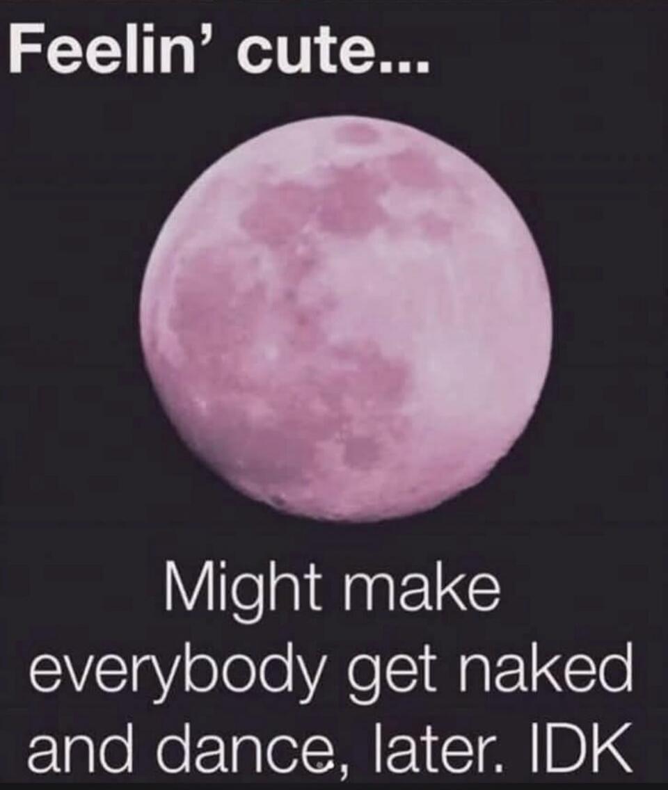 Feelin' cute... Might make everybody get naked and dance, later. IDK