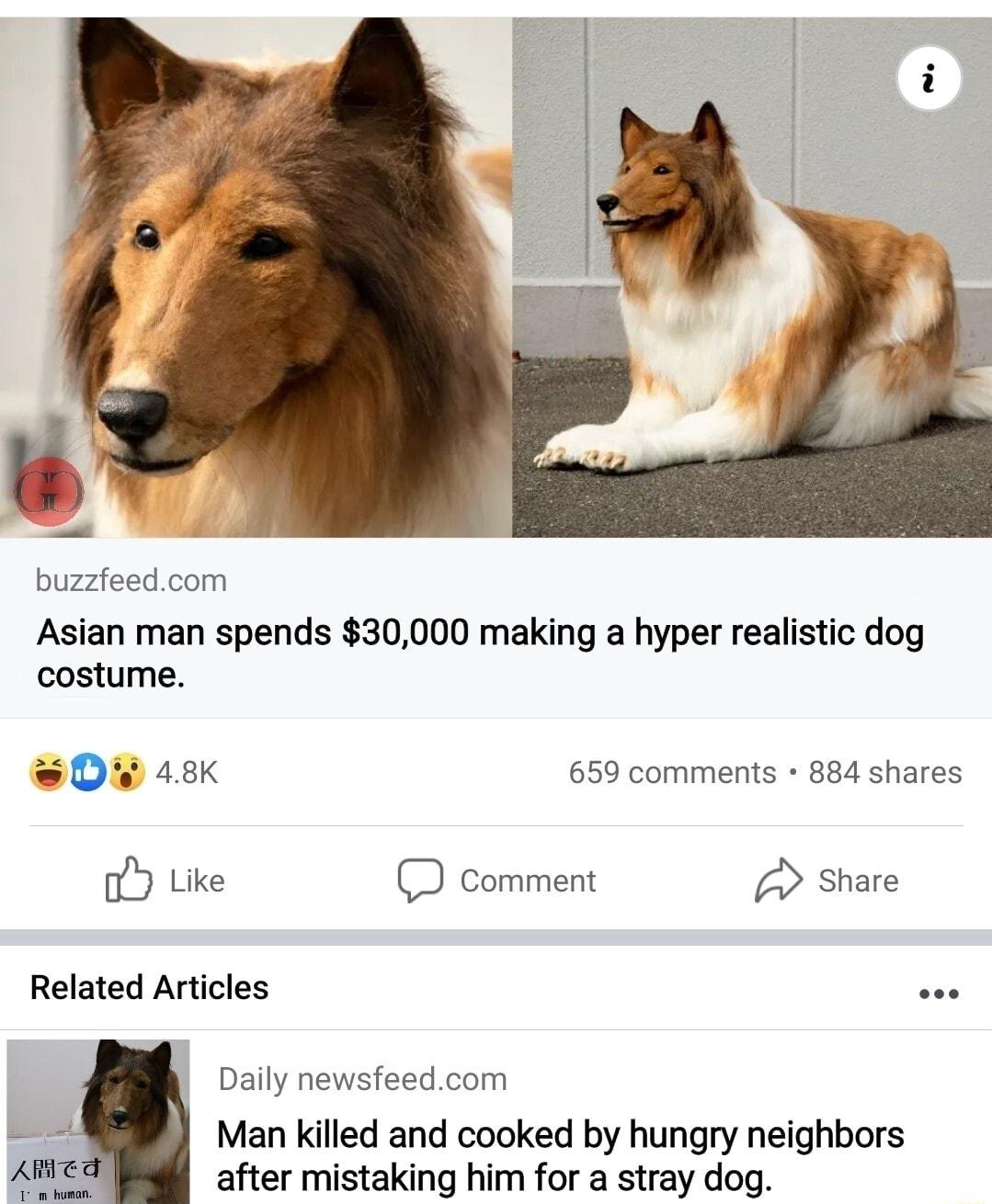 o buzzfeedcom Asian man spends 30000 making a hyper realistic dog costume 0w 48 659 comments 884 shares o Like D comment Share Related Articles e Daily newsfeedcom Man killed and cooked by hungry neighbors Amied after mistaking him for a stray dog