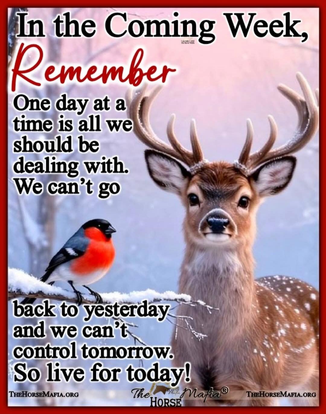 In the Coming Week, Remember One day at a time is all we should be dealing with. We can’t go back to yesterday and we can’t control tomorrow. So live for today!